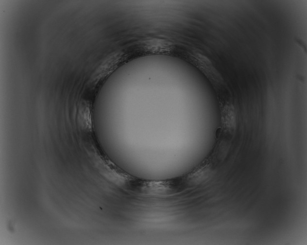 X0000101460622200807141308