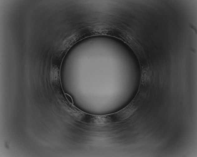 X0000101460623200807141308