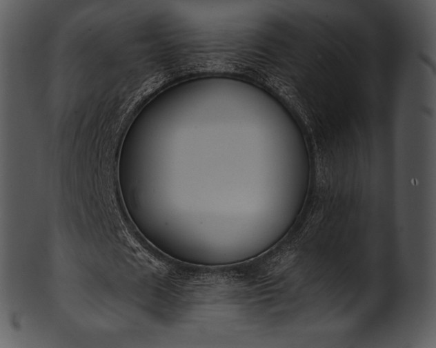 X0000101460625200807141307