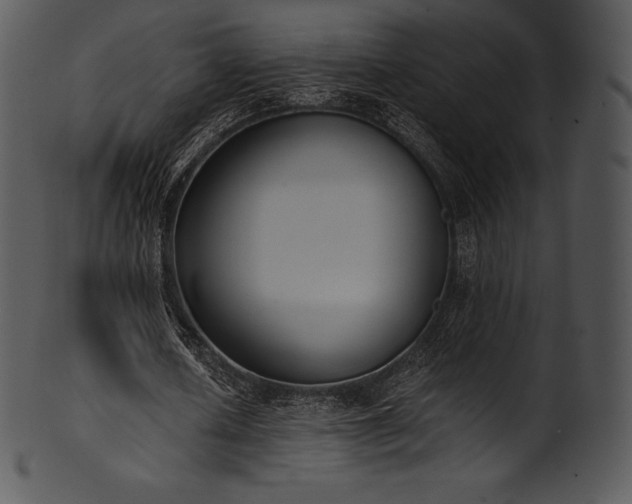 X0000101460626200807141307