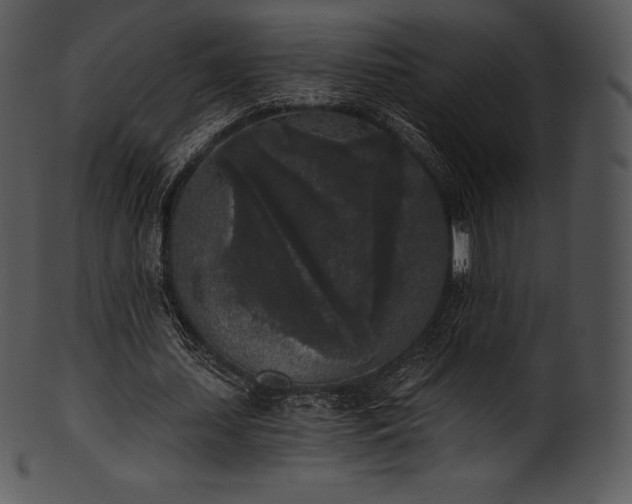 X0000101460627200807141307