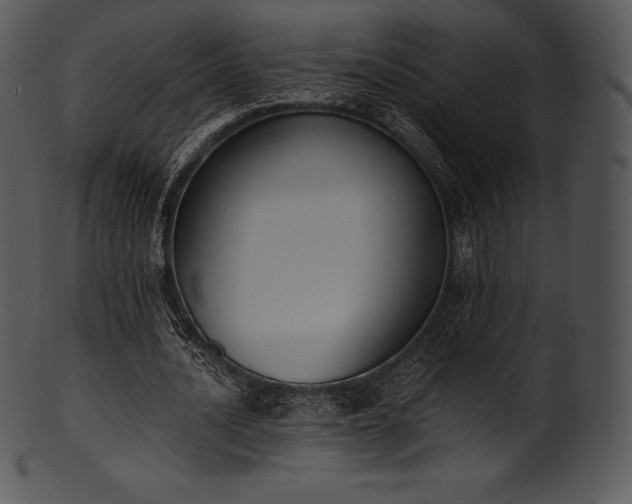 X0000101460628200807141307