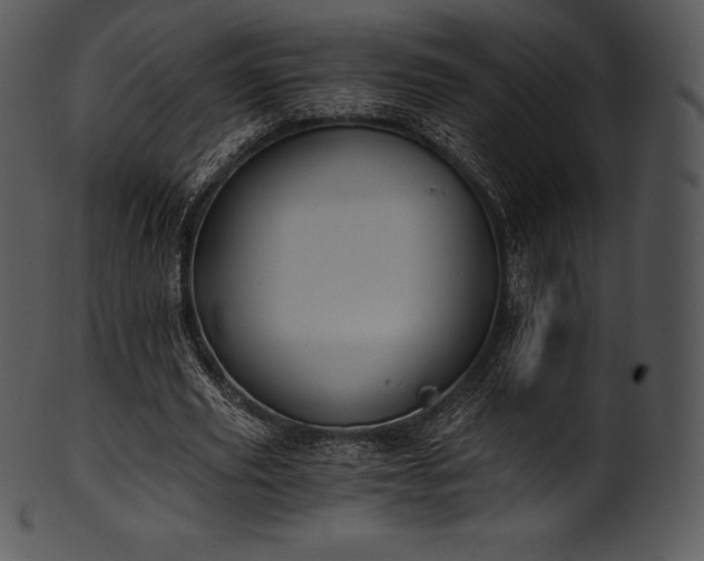 X0000101460629200807141307