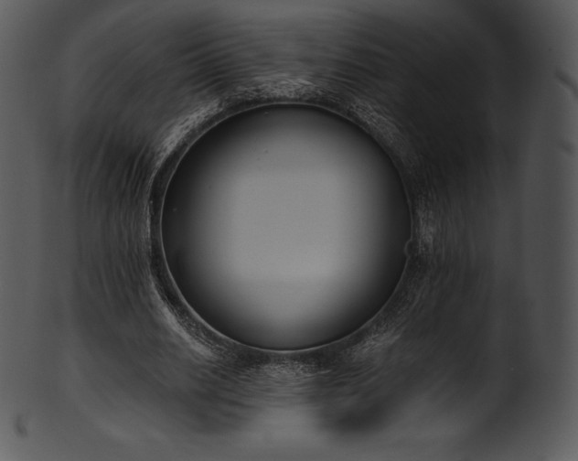 X0000101460630200807141307