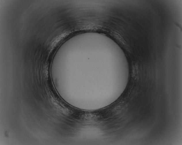 X0000101460632200807141307