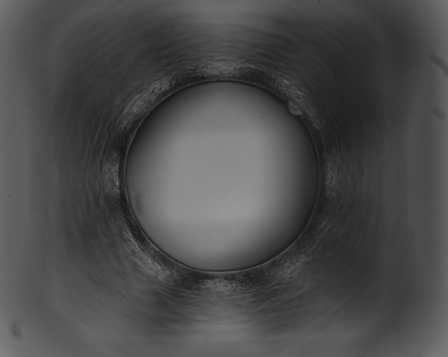 X0000101460633200807141307