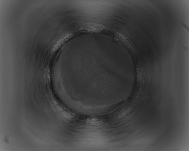 X0000101460634200807141307