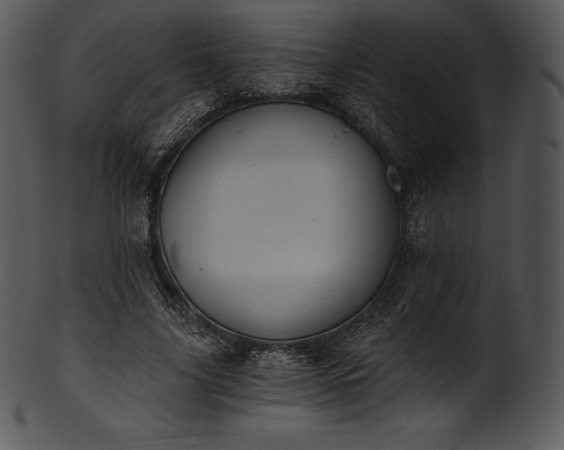 X0000101460635200807141308