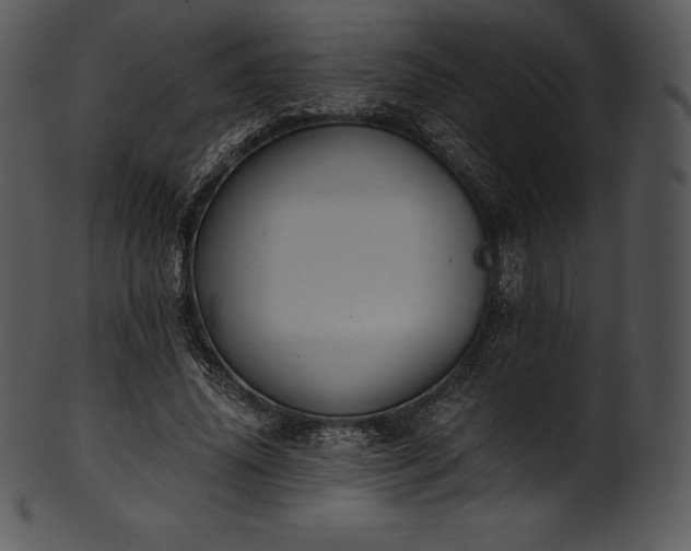 X0000101460636200807141308