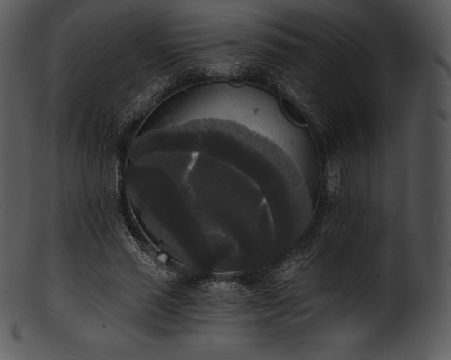 X0000101460637200807141308