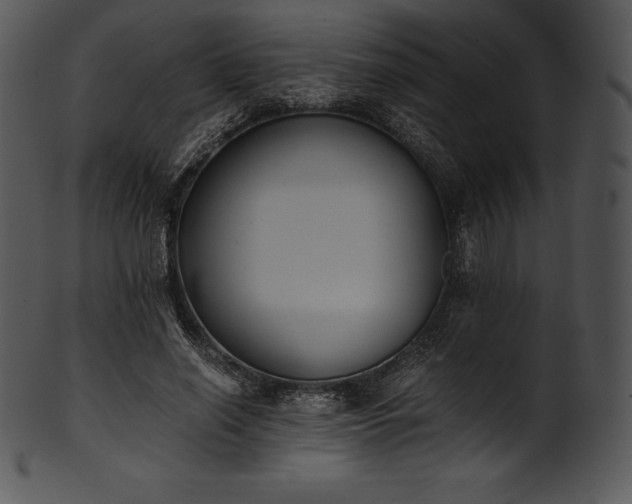 X0000101460638200807141308