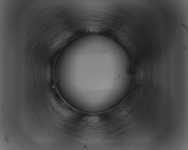 X0000101460639200807141308
