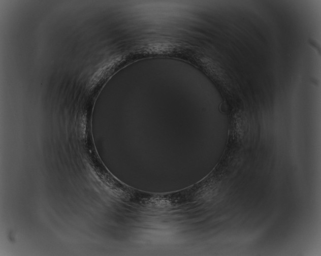 X0000101460640200807141308