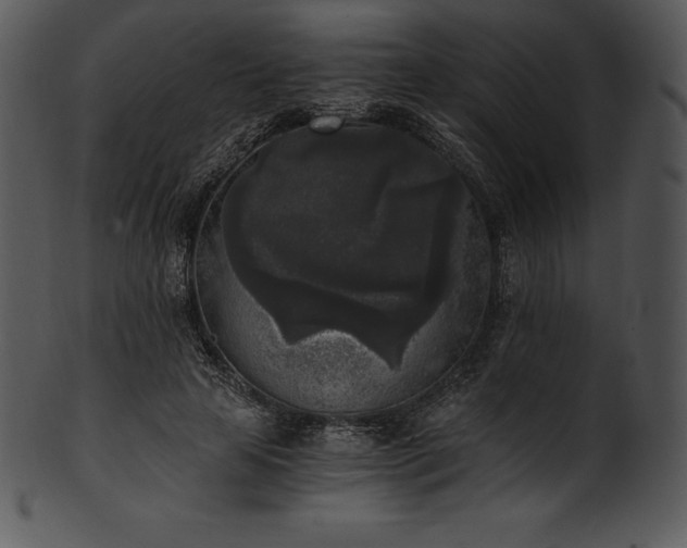 X0000101460641200807141308
