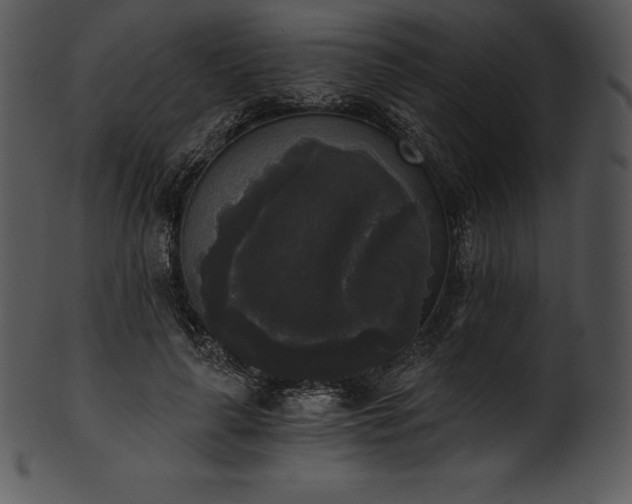 X0000101460643200807141308