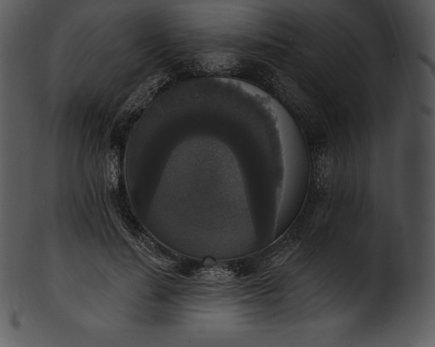X0000101460644200807141308