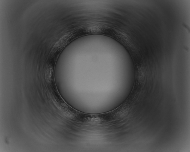 X0000101460645200807141308