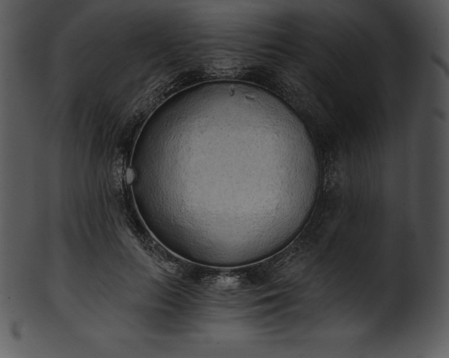 X0000101460647200807141308