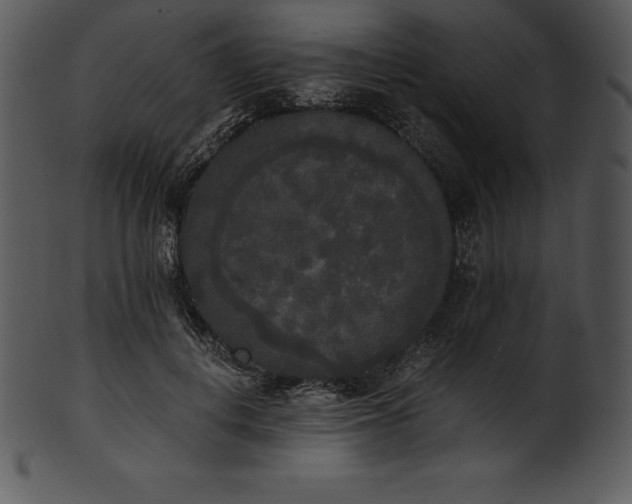 X0000101460648200807141308