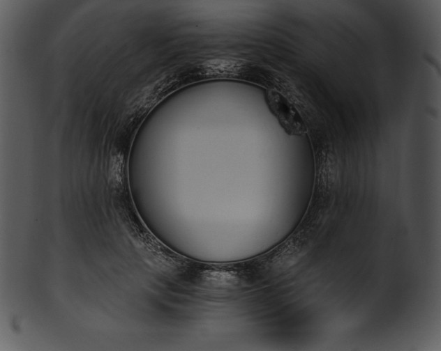 X0000101460649200807141308