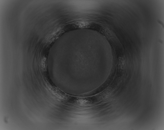 X0000101460650200807141308