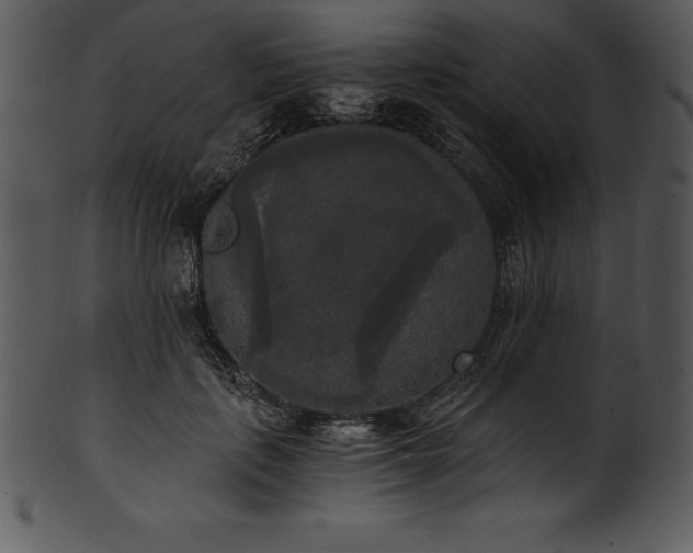 X0000101460651200807141308