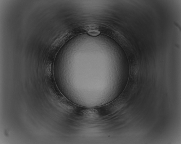X0000101460652200807141308