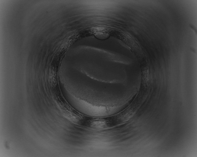 X0000101460653200807141308