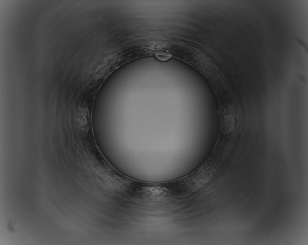 X0000101460654200807141308