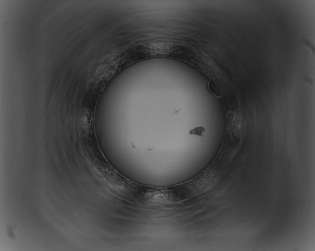 X0000101460655200807141308