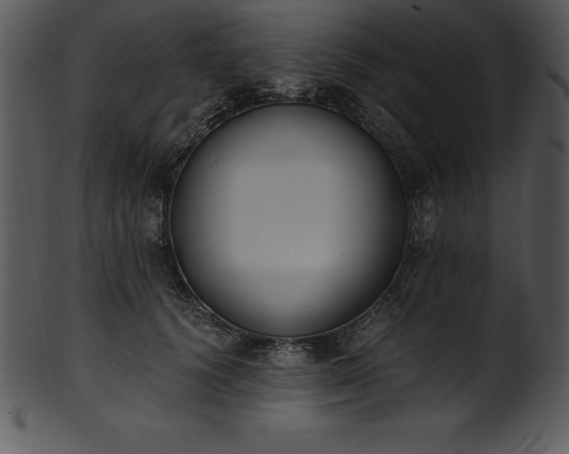 X0000101460656200807141308
