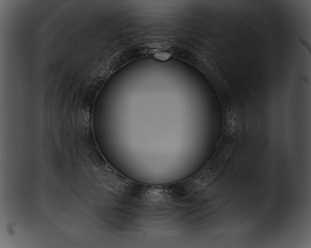 X0000101460657200807141308