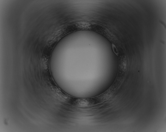X0000101460658200807141308