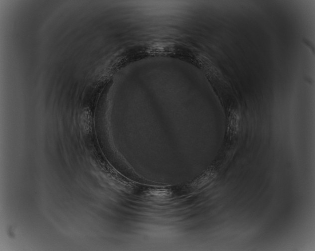 X0000101460659200807141308