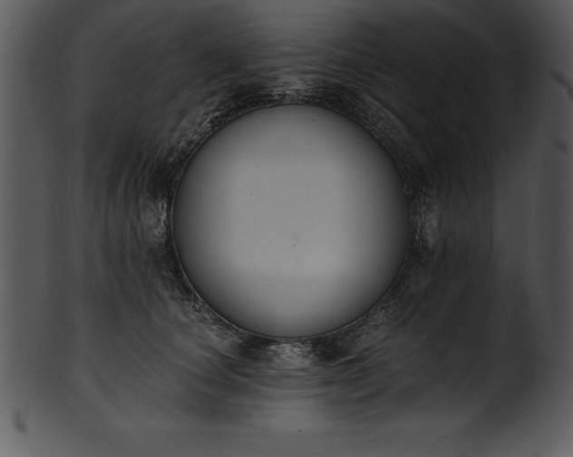 X0000101460660200807141308
