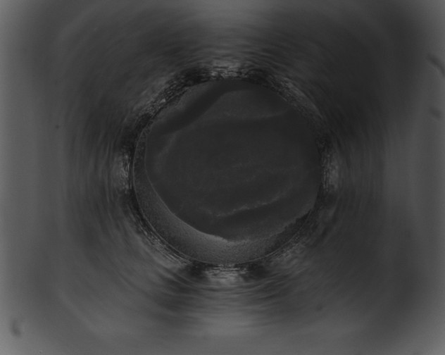 X0000101460661200807141308