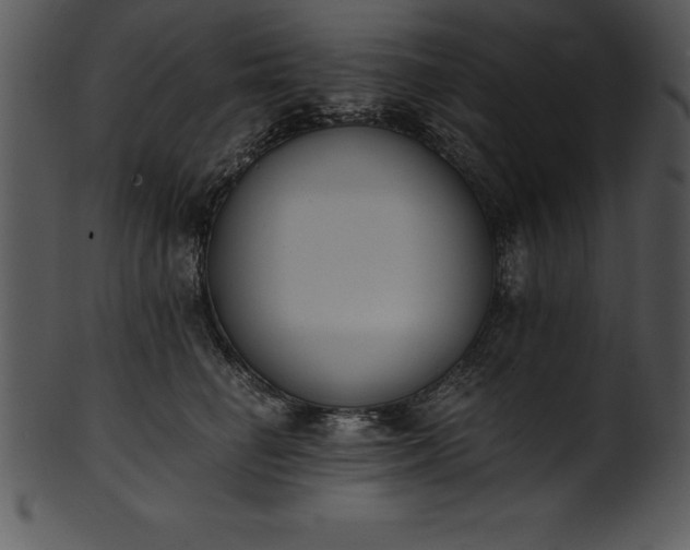 X0000101460662200807141308