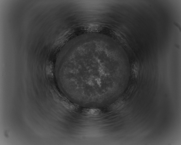 X0000101460663200807141308