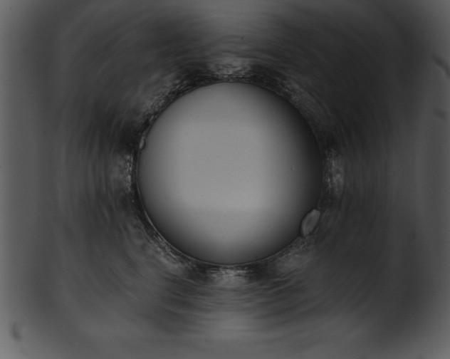 X0000101460664200807141308