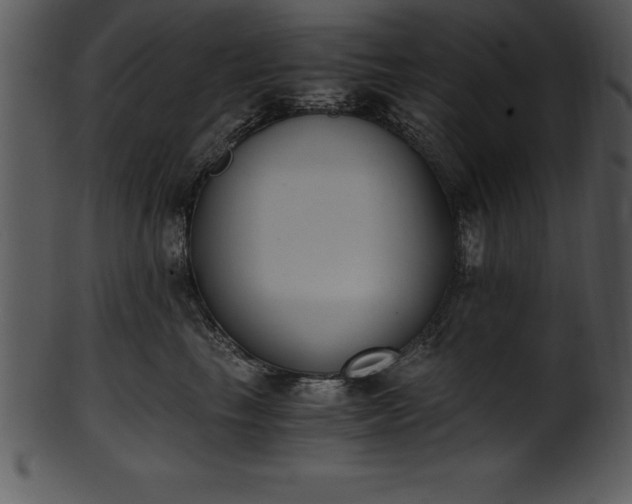 X0000101460665200807141308