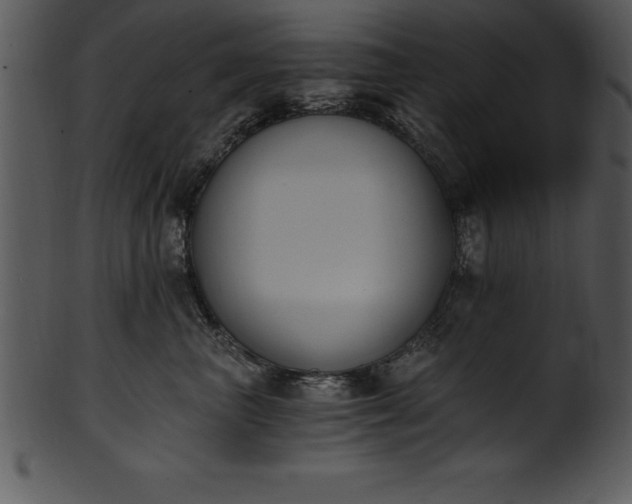 X0000101460667200807141308