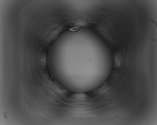 X0000101460668200807141308
