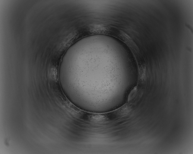 X0000101460669200807141308