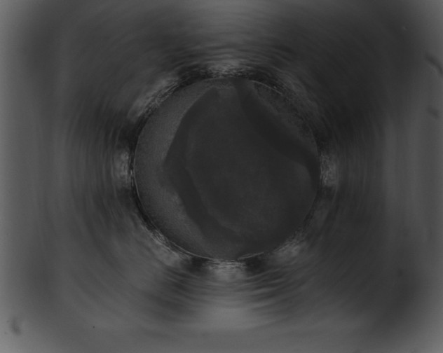 X0000101460670200807141308