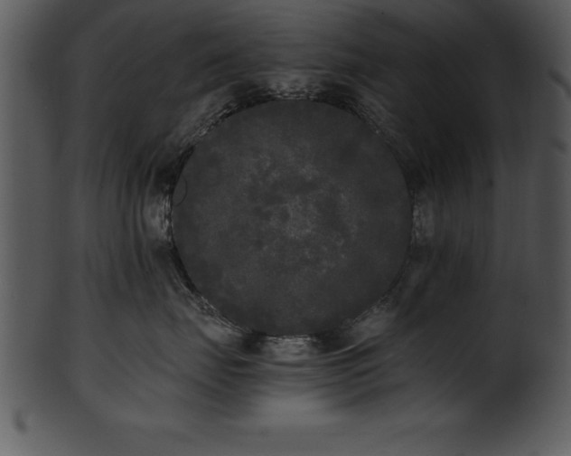 X0000101460671200807141308