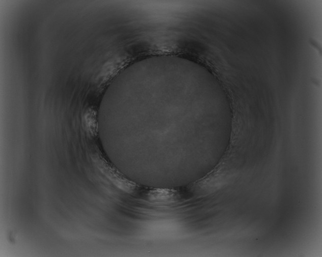 X0000101460672200807141308