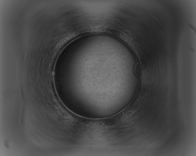 X0000101460673200807141307