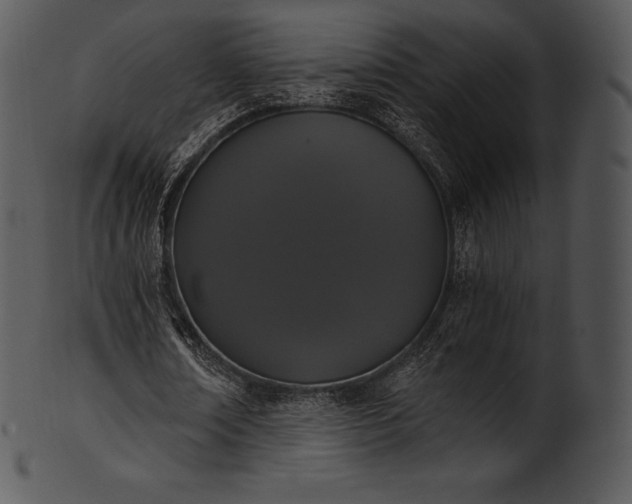 X0000101460674200807141307