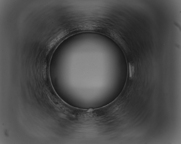 X0000101460675200807141307