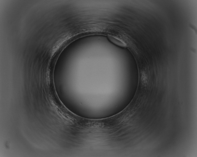 X0000101460676200807141307